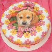 Picture of Puppy Cake